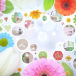 Personalizing your Choice: How to Align Style with Lifestyle