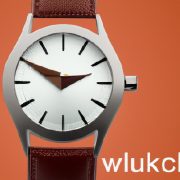 Tick-Tock Choices: A Comprehensive Guide to Selecting Your Perfect Watch